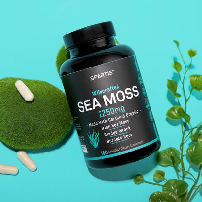 SPARTIS Certified Organic Sea Moss Capsules 2250mg Wildcrafted Irish Sea Moss Burdock Root Bladderwrack Supplement Raw Seamoss Pills & Powder (Pack of 1 at 180-Caps) SPARTISBuy Supplements Australia