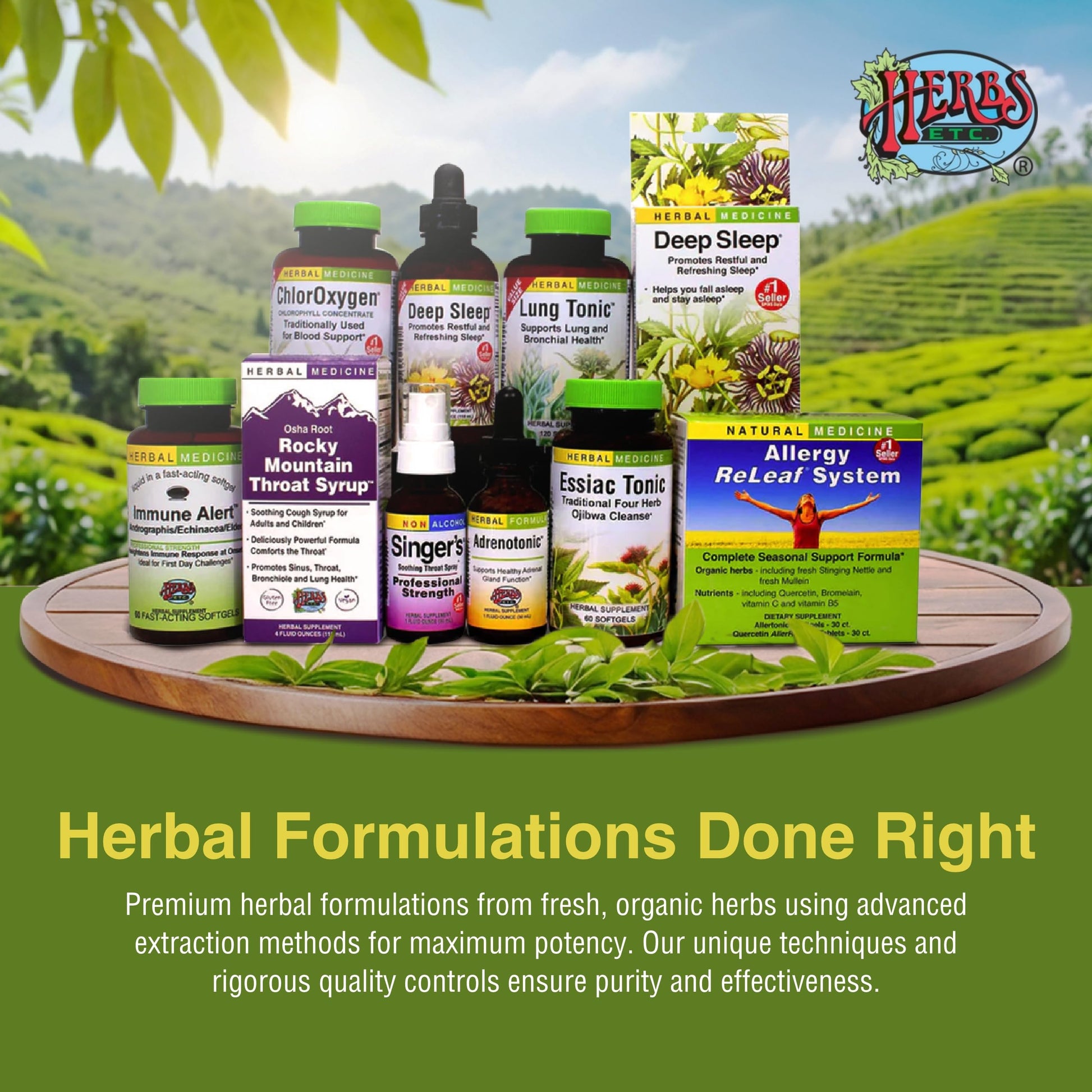 Herbs Etc. Loviral - Lung Health Supplement for Respiratory Defense & Support - Herbal Supplement with Lomatium, Pelargonium & OSHA - Gluten-Free - 60 Softgels (60 Servings) Herbs Etc.Buy Supplements Australia