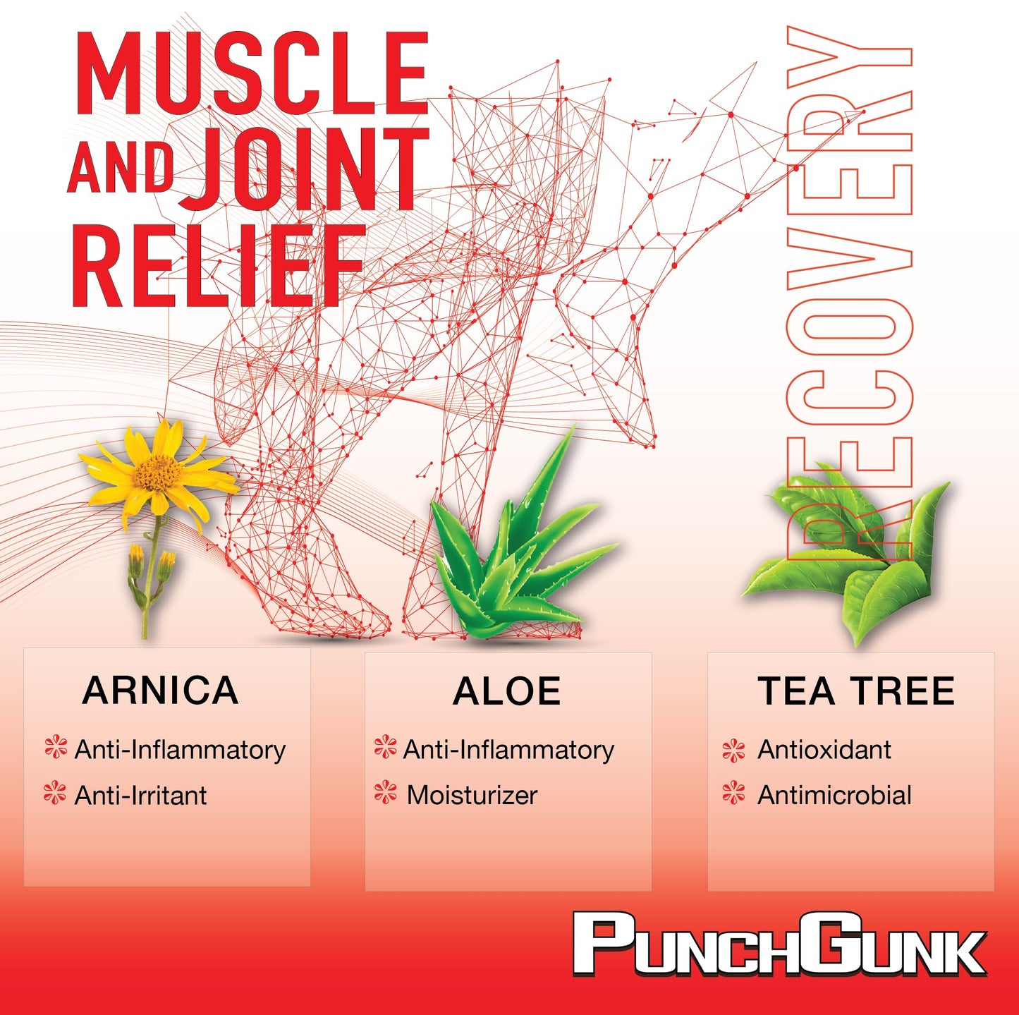 PunchGunk Muscle and Joint Relief Cream for Sore Muscles and Joints, Non Greasy, Naturally Advanced Lotion with Arnica, Aloe & Tea Tree 3.0oz PUNCHGUNKBuy Supplements Australia