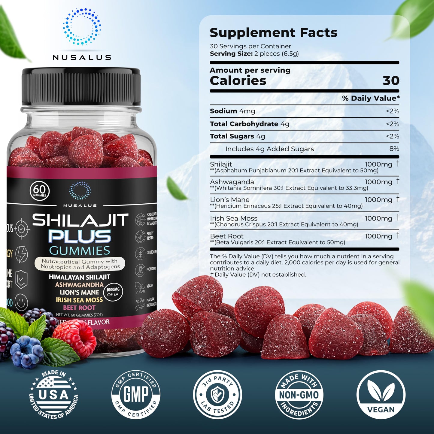 Nusalus Shilajit Plus Gummies – 5-in-1 Adaptogen Energy & Focus Supplement | Shilajit, Ashwagandha, Lion’s Mane, Sea Moss & Beet Root | Natural Energy & Stress Support | Made in USA, Vegan, 60ct NusalusBuy Supplements Australia