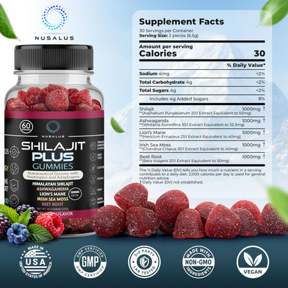 Nusalus Shilajit Plus Gummies – 5-in-1 Adaptogen Energy & Focus Supplement | Shilajit, Ashwagandha, Lion’s Mane, Sea Moss & Beet Root | Natural Energy & Stress Support | Made in USA, Vegan, 60ct NusalusBuy Supplements Australia