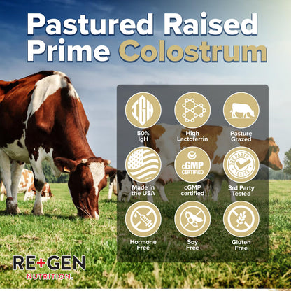 Re+Gen Nutrition Colostrum Gold 50 Bovine Colostrum Powder for Gut Health, Immune Support & Muscle Recovery – 50% IgG Concentration, Grass Fed, Gluten Free, No Artificial Ingredients Re+Gen NutritionBuy Supplements Australia
