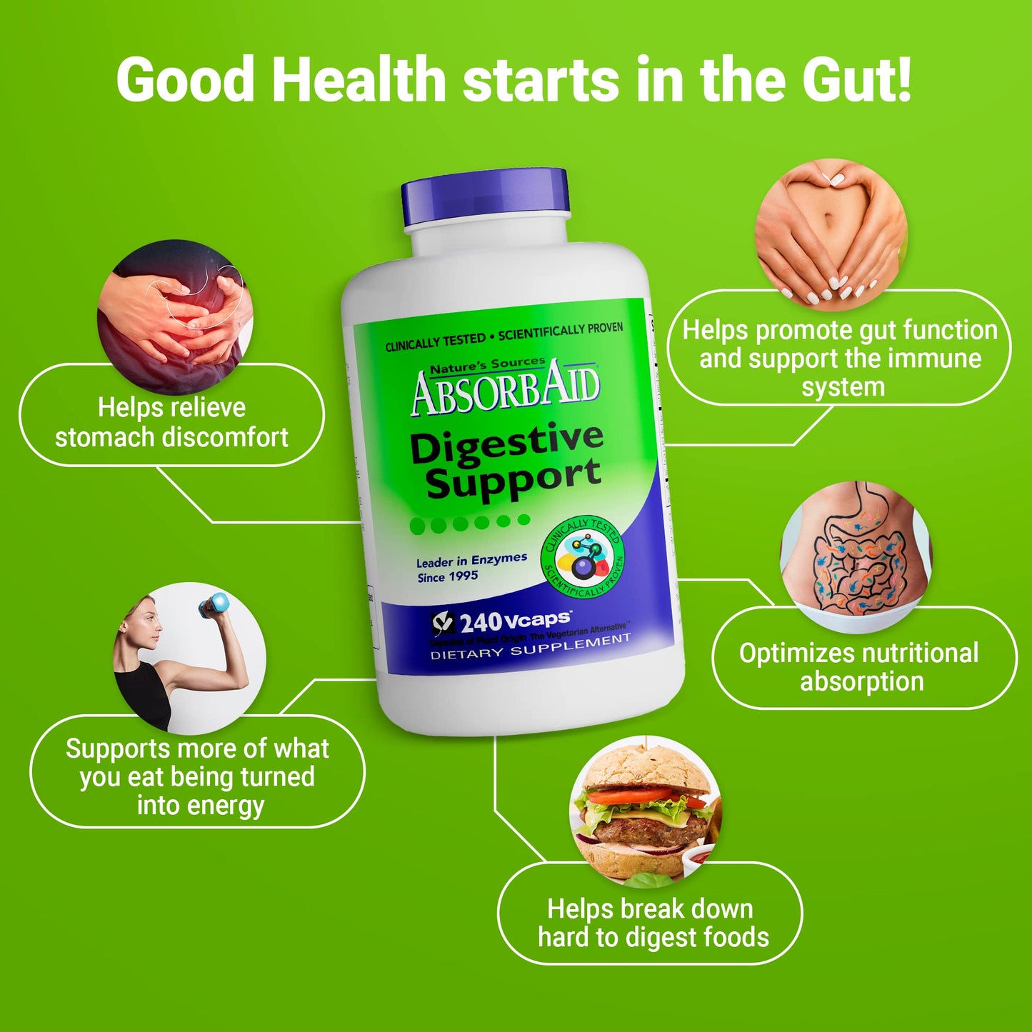 AbsorbAid Digestive Enzymes 240 vCaps, Proven to Increase Vital Nutrient Absorption by up to 71% - Maple Wellness Supplements