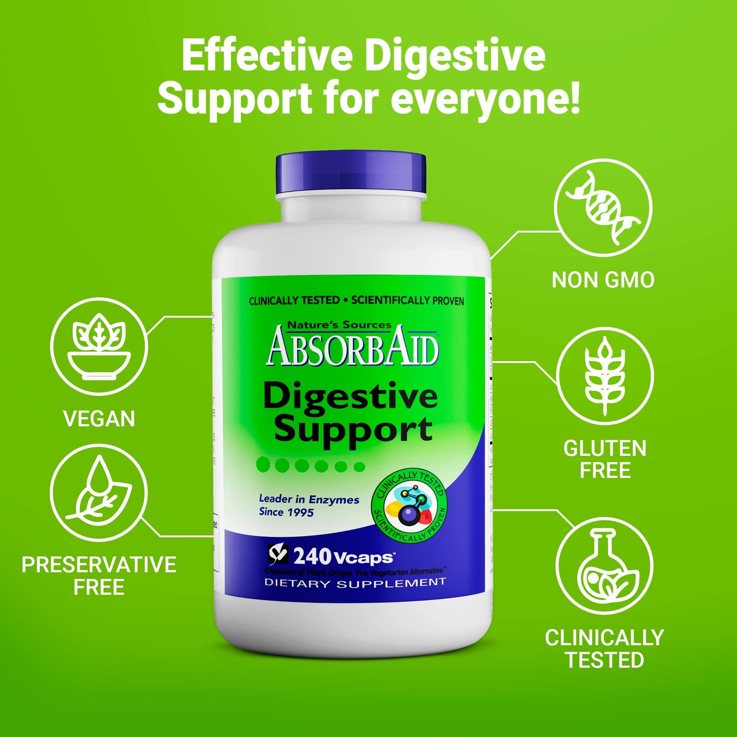 AbsorbAid Digestive Enzymes 240 vCaps, Proven to Increase Vital Nutrient Absorption by up to 71% - Maple Wellness Supplements