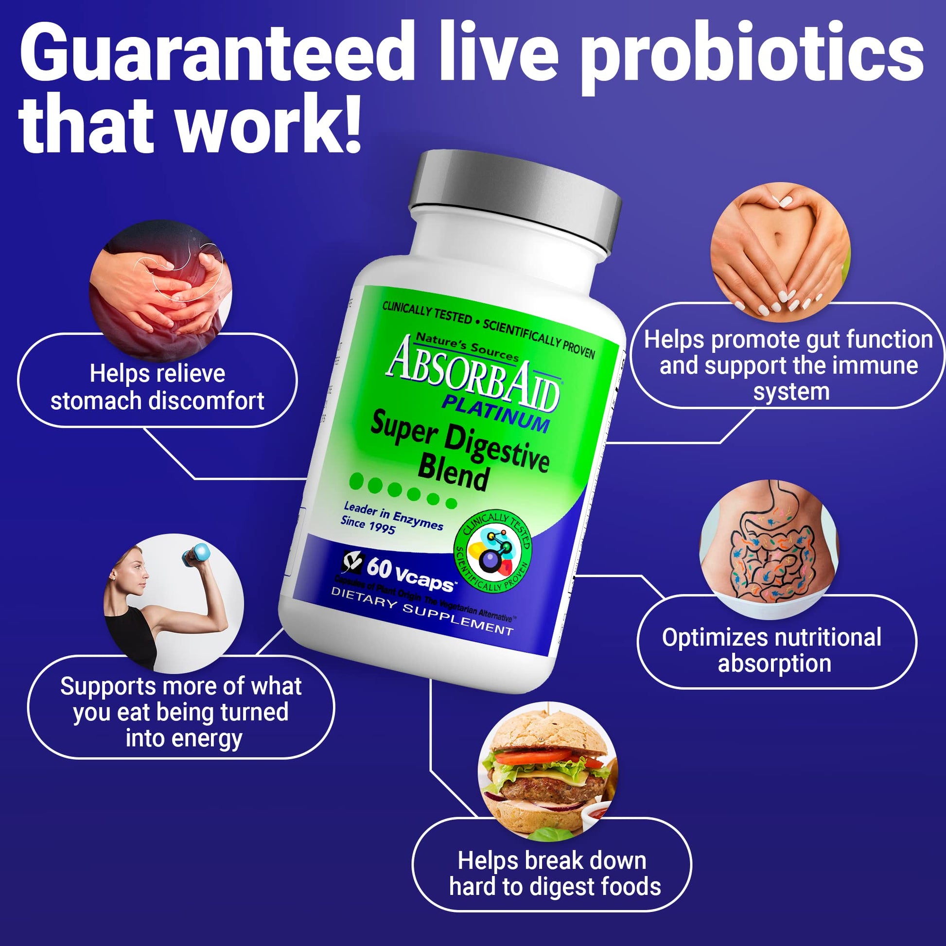 AbsorbAid Platinum Digestive Enzyme Support 60 vCaps, 12 Digestive Enzymes Plus 2 Probiotics for Maximum Relief - Maple Wellness Supplements