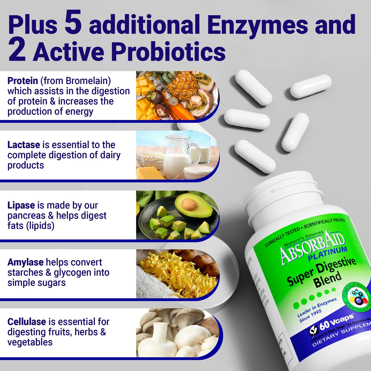 AbsorbAid Platinum Digestive Enzyme Support 60 vCaps, 12 Digestive Enzymes Plus 2 Probiotics for Maximum Relief - Maple Wellness Supplements