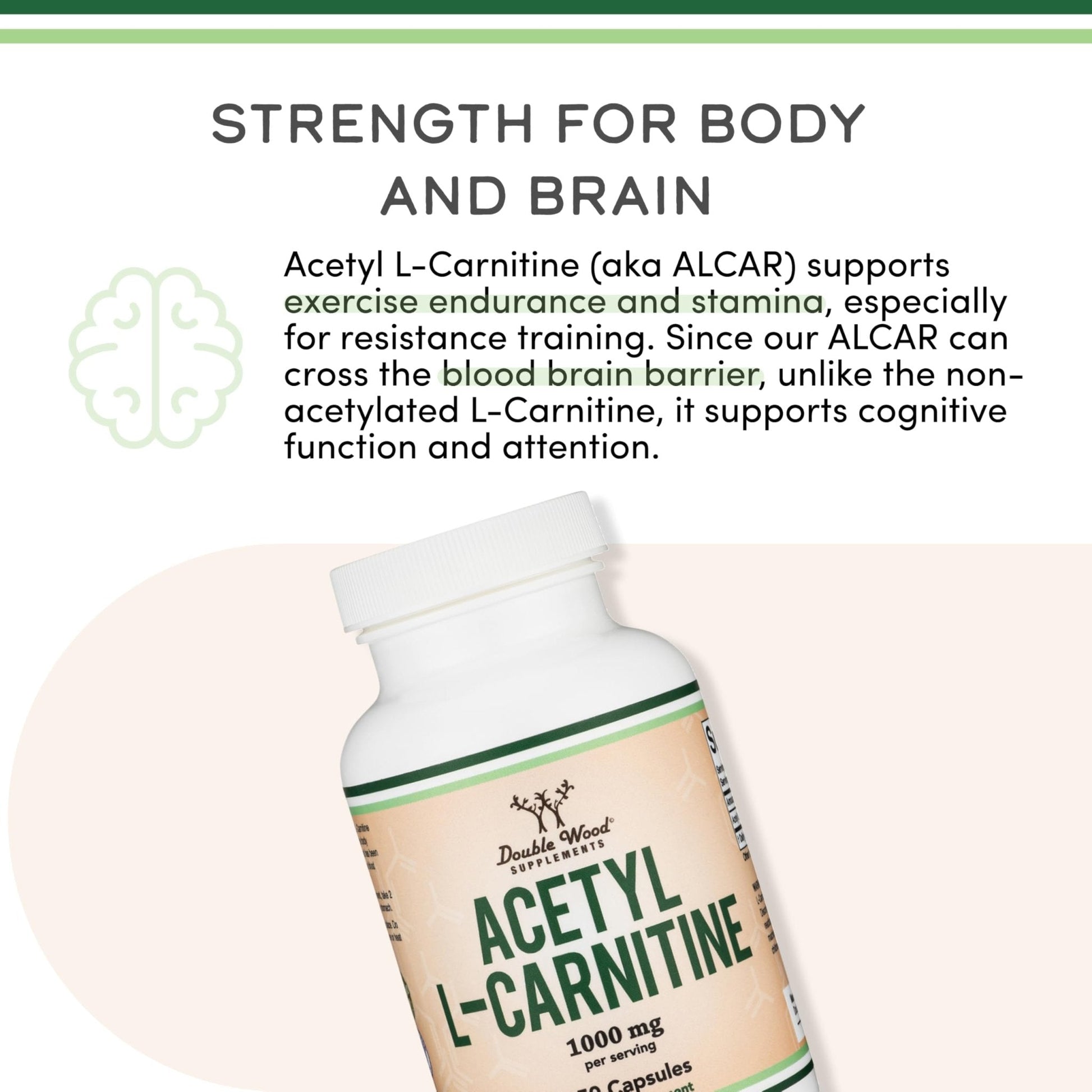Acetyl L-Carnitine 1,000mg Per Serving, 150 Capsules (ALCAR for Brain Function Support, Memory, Attention, and Stamina) Acetyl L Carnitine That is Third Party Tested by Double Wood - Maple Wellness Supplements