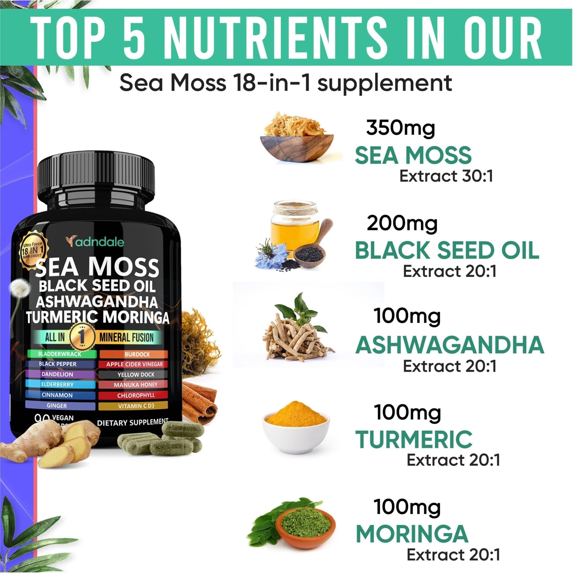 Adndale Sea Moss Capsules - Sea Moss Blend with Ashwagandha, Turmeric- 90 Count - Maple Wellness Supplements
