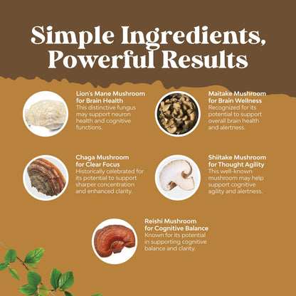 Advanced Lion's Mane Mushroom Supplement - Lions Mane Supplement Capsules with Reishi Chaga Maitake & Shiitake for Brain Health Memory Support & Focus - Nootropic for Mental Clarity - 120 Count - Maple Wellness Supplements