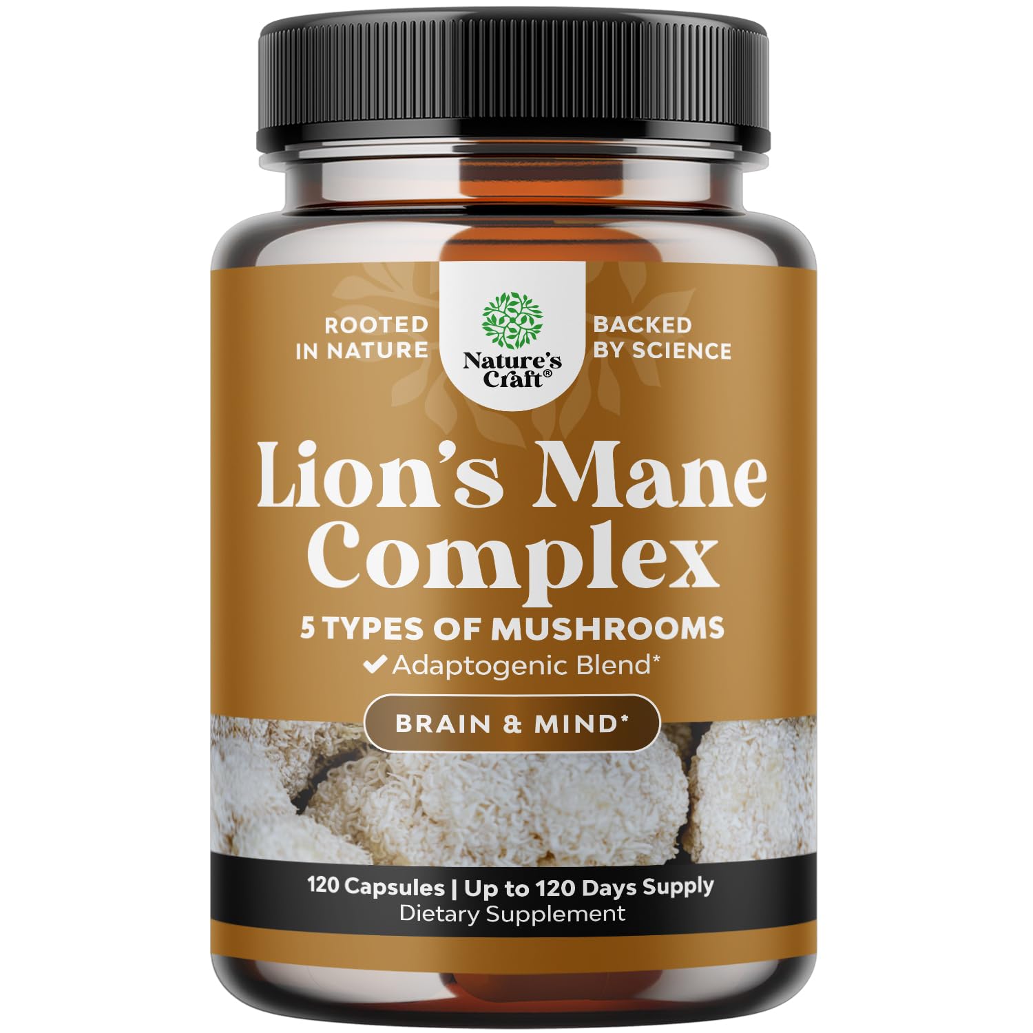 Advanced Lion's Mane Mushroom Supplement - Lions Mane Supplement Capsules with Reishi Chaga Maitake & Shiitake for Brain Health Memory Support & Focus - Nootropic for Mental Clarity - 120 Count - Maple Wellness Supplements