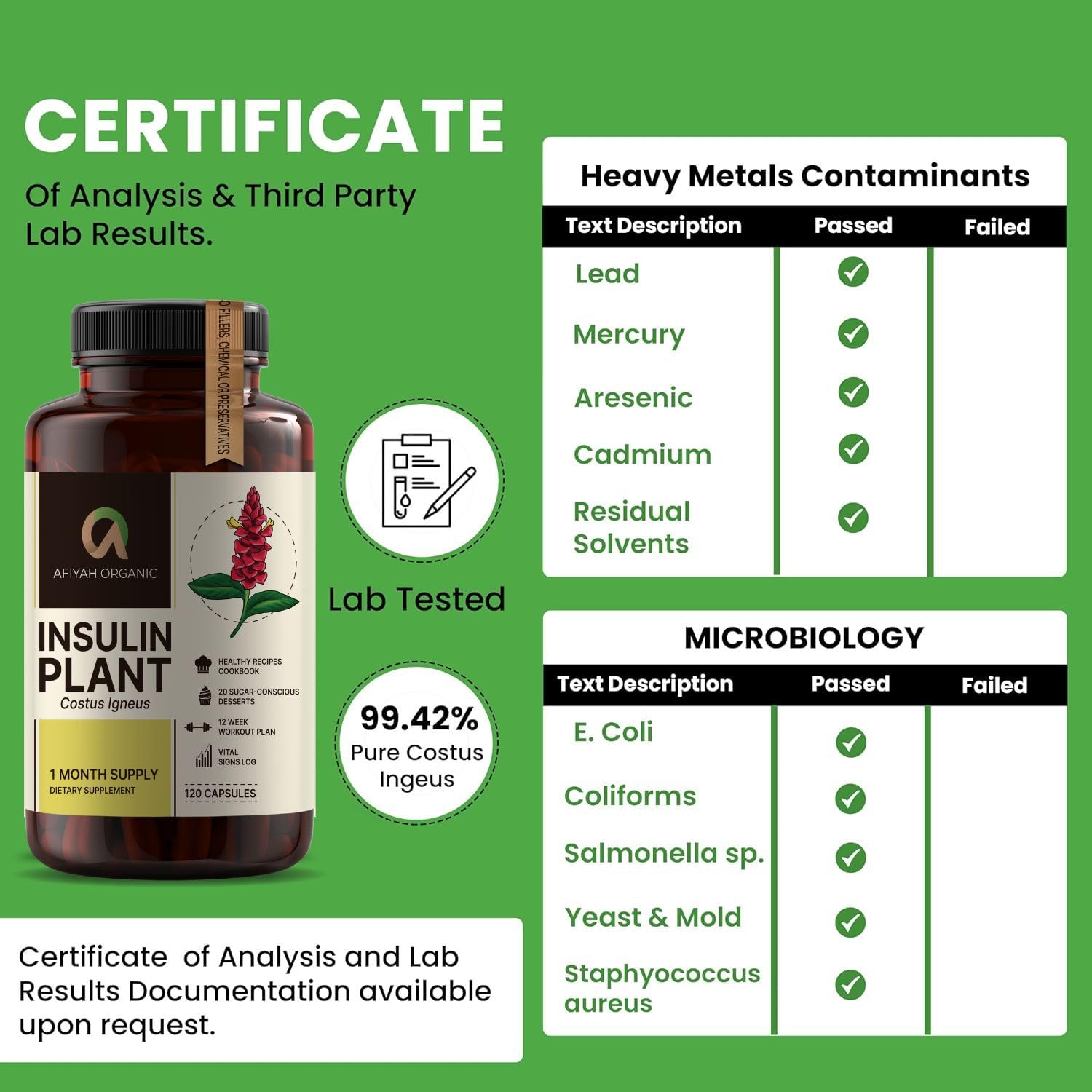 Afiyah Organic - Premium Quality Costus Igneus (Insulin Plant) Capsules - Easy to Swallow 120 Veggie Capsules (1 Month Supply) - Made in the USA - Including Complete Health Support Program - Maple Wellness Supplements