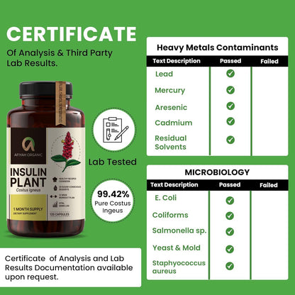 Afiyah Organic - Premium Quality Costus Igneus (Insulin Plant) Capsules - Easy to Swallow 120 Veggie Capsules (1 Month Supply) - Made in the USA - Including Complete Health Support Program - Maple Wellness Supplements
