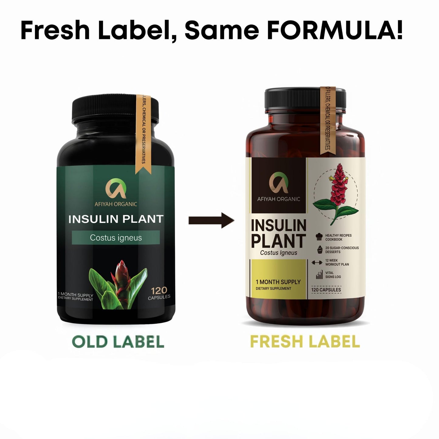 Afiyah Organic - Premium Quality Costus Igneus (Insulin Plant) Capsules - Easy to Swallow 120 Veggie Capsules (1 Month Supply) - Made in the USA - Including Complete Health Support Program - Maple Wellness Supplements