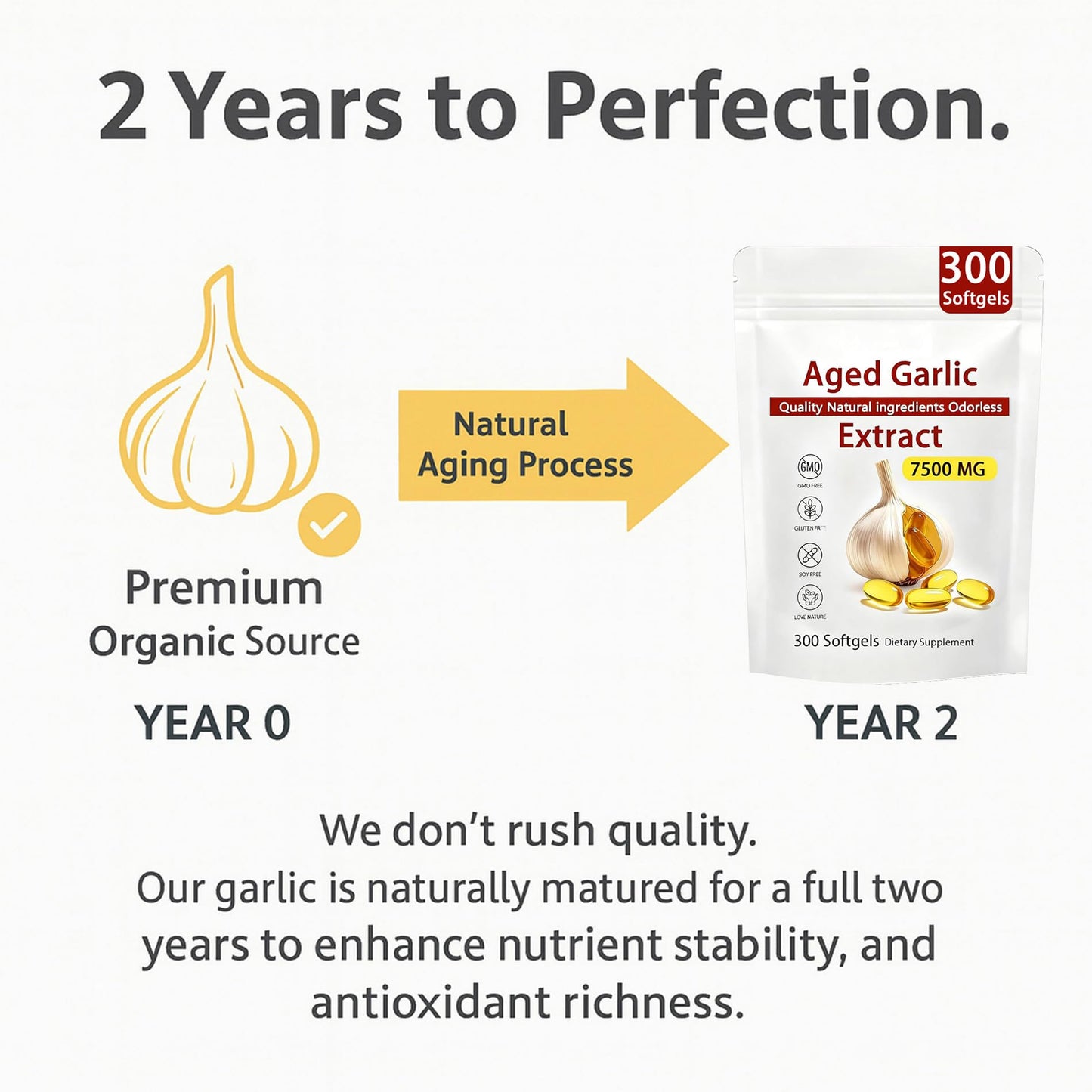 Aged Garlic Extract – 300 Count Odorless Garlic Supplement for Heart & Immune Support – Non-GMO, All-Natural Softgels, 2-Year Matured for Antioxidant Wellness (1) - Maple Wellness Supplements