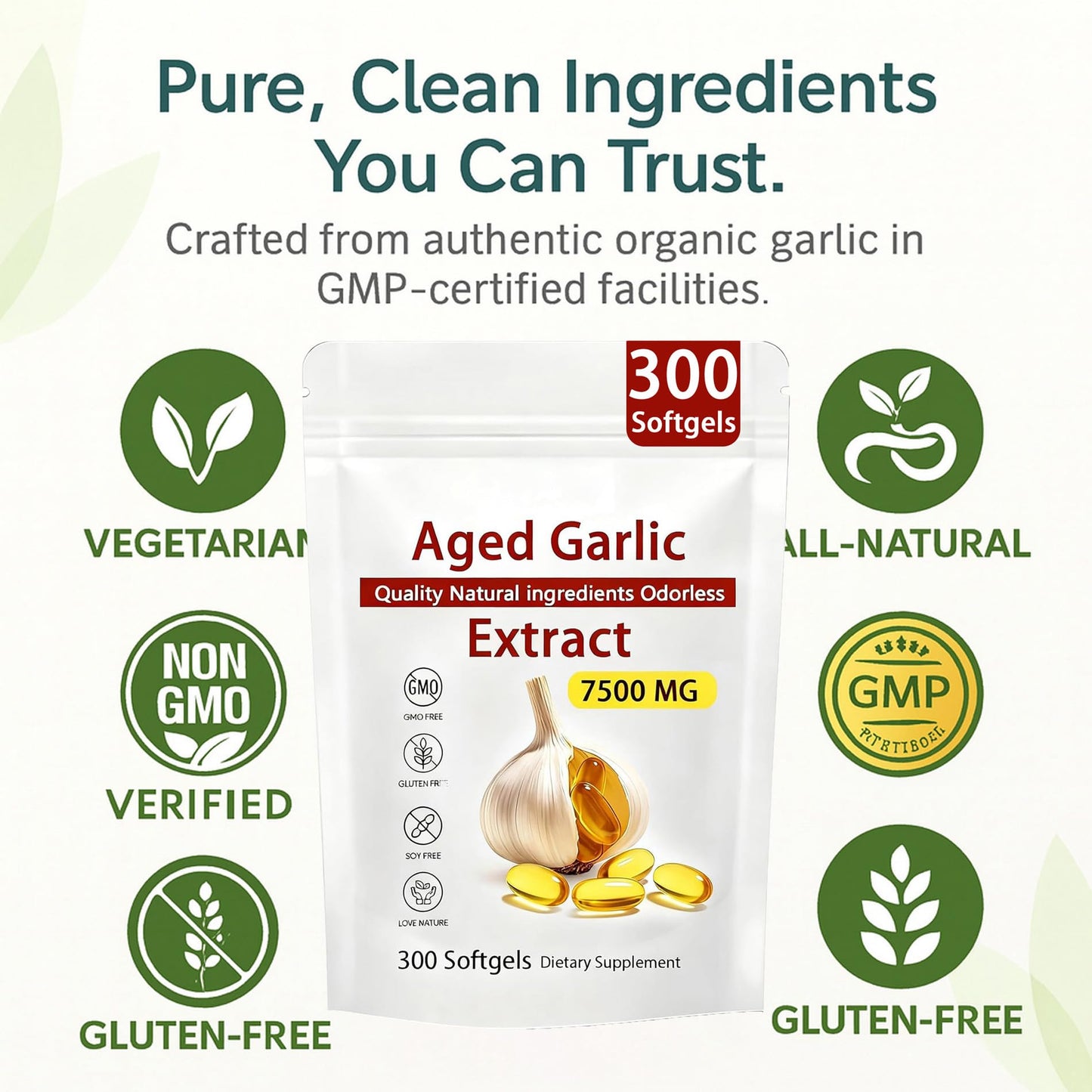 Aged Garlic Extract – 300 Count Odorless Garlic Supplement for Heart & Immune Support – Non-GMO, All-Natural Softgels, 2-Year Matured for Antioxidant Wellness (1) - Maple Wellness Supplements