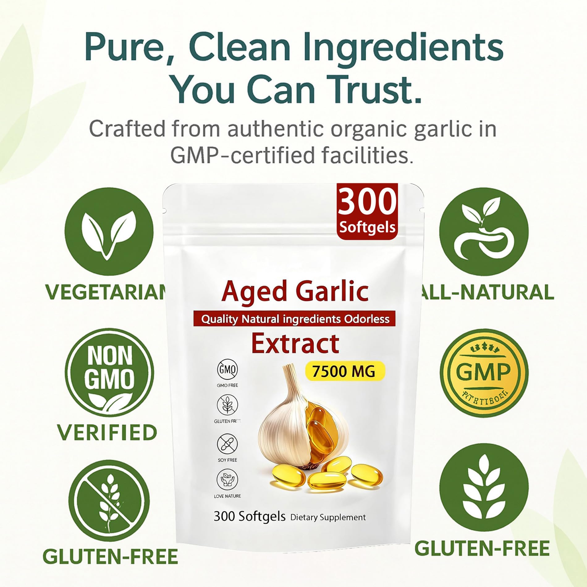 Aged Garlic Extract – 300 Count Odorless Garlic Supplement for Heart & Immune Support – Non-GMO, All-Natural Softgels, 2-Year Matured for Antioxidant Wellness (1) - Maple Wellness Supplements