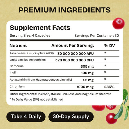 Akkermansia Muciniphila Probiotics 320 Billion CFU| Probiotic and Prebiotic | Akkermansia Probiotics for gut health | Inulin Prebiotic Fiber Capsules Astaxanthin & Berberine & Chromium | 120 capsules - Maple Wellness Supplements