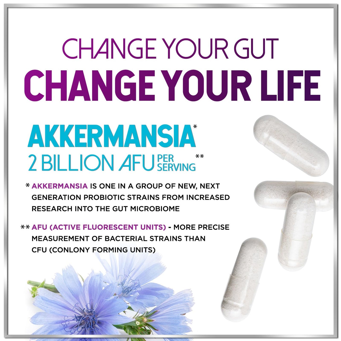 Akkermansia Probiotic - 2 Billion AFU per Serving - Best Strain for GLP-1 Production Support with Prebiotic Fiber for Natural Digestive & Gut Health - Maple Wellness Supplements