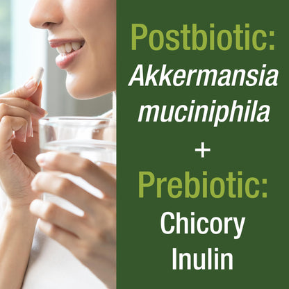 Akkermansia Probiotic to Increase GLP-1 Production. Ultra High Strength Akkermansia Muciniphila Live Strain with Prebiotic Fiber for Gut Health & Microbiome Balance. Delayed Release, 3rd Party Tested - Maple Wellness Supplements