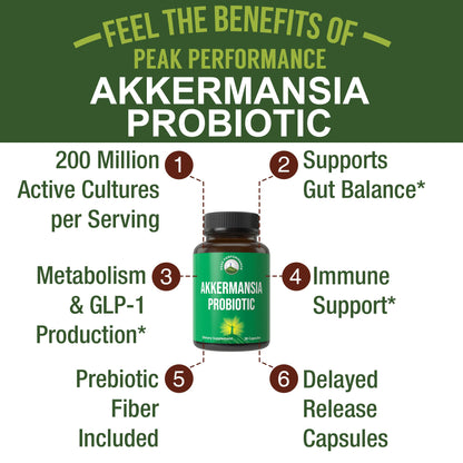 Akkermansia Probiotic to Increase GLP-1 Production. Ultra High Strength Akkermansia Muciniphila Live Strain with Prebiotic Fiber for Gut Health & Microbiome Balance. Delayed Release, 3rd Party Tested - Maple Wellness Supplements