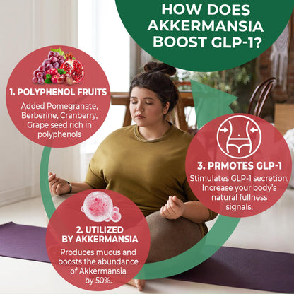 Akkermansia Probiotics Gummies with Prebiotics Fiber, 300 Billion AFU Akkermansia Muciniphila, with Polyphenol Fruits, Resistant Starch - Maple Wellness Supplements