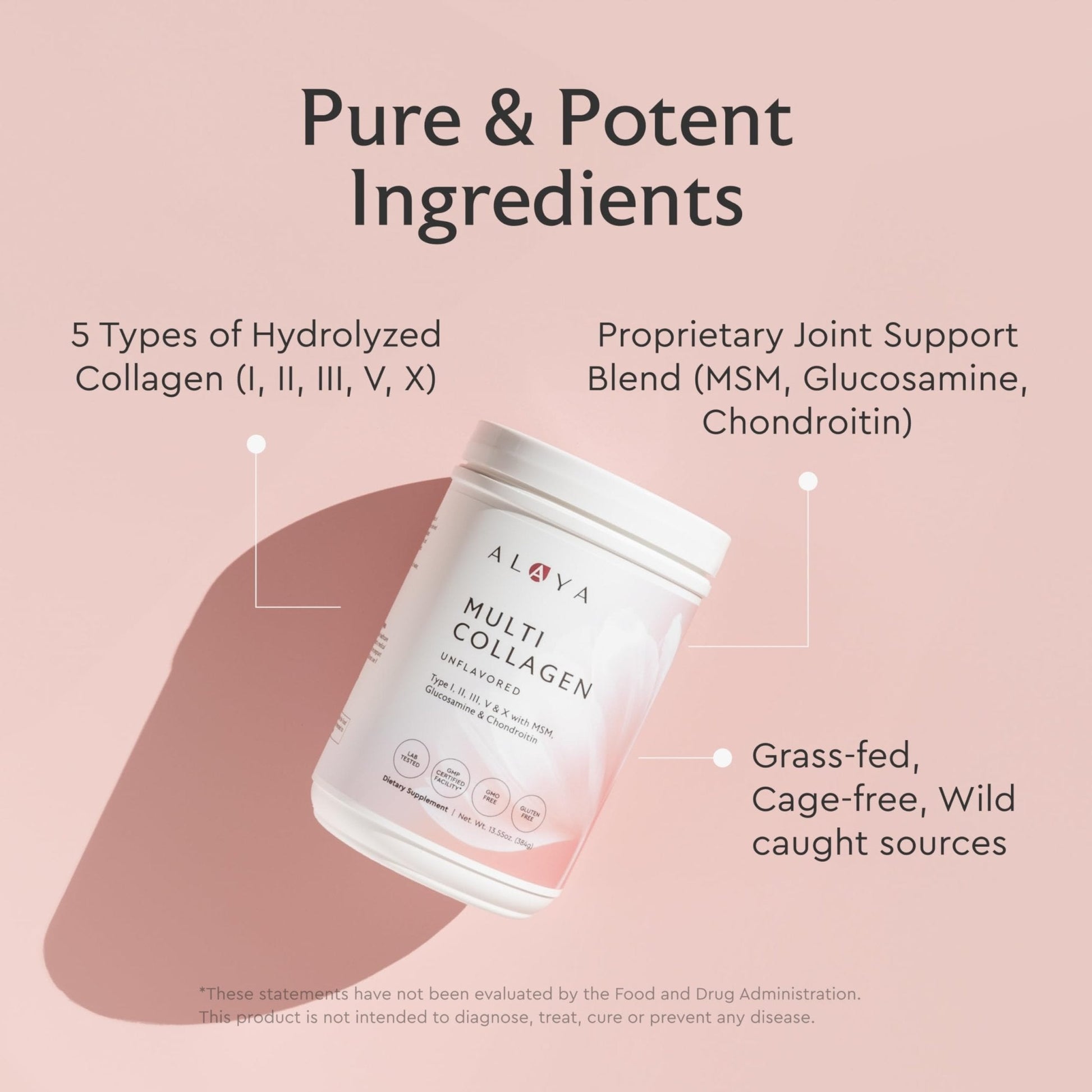 Alaya Multi Collagen Powder - Type I, II, III, V, X Hydrolyzed Collagen Peptides Protein Powder Supplement with MSM + GC (Unflavored) - NSF Certified - (40 Servings) - Maple Wellness Supplements
