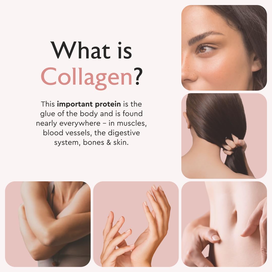 Alaya Naturals Hydrolyzed Multi Collagen Peptides Protein Capsules - Type I, II, III, V, X Grass-Fed Bovine, Chicken, Marine Collagen Supplement with MSM - Maple Wellness Supplements