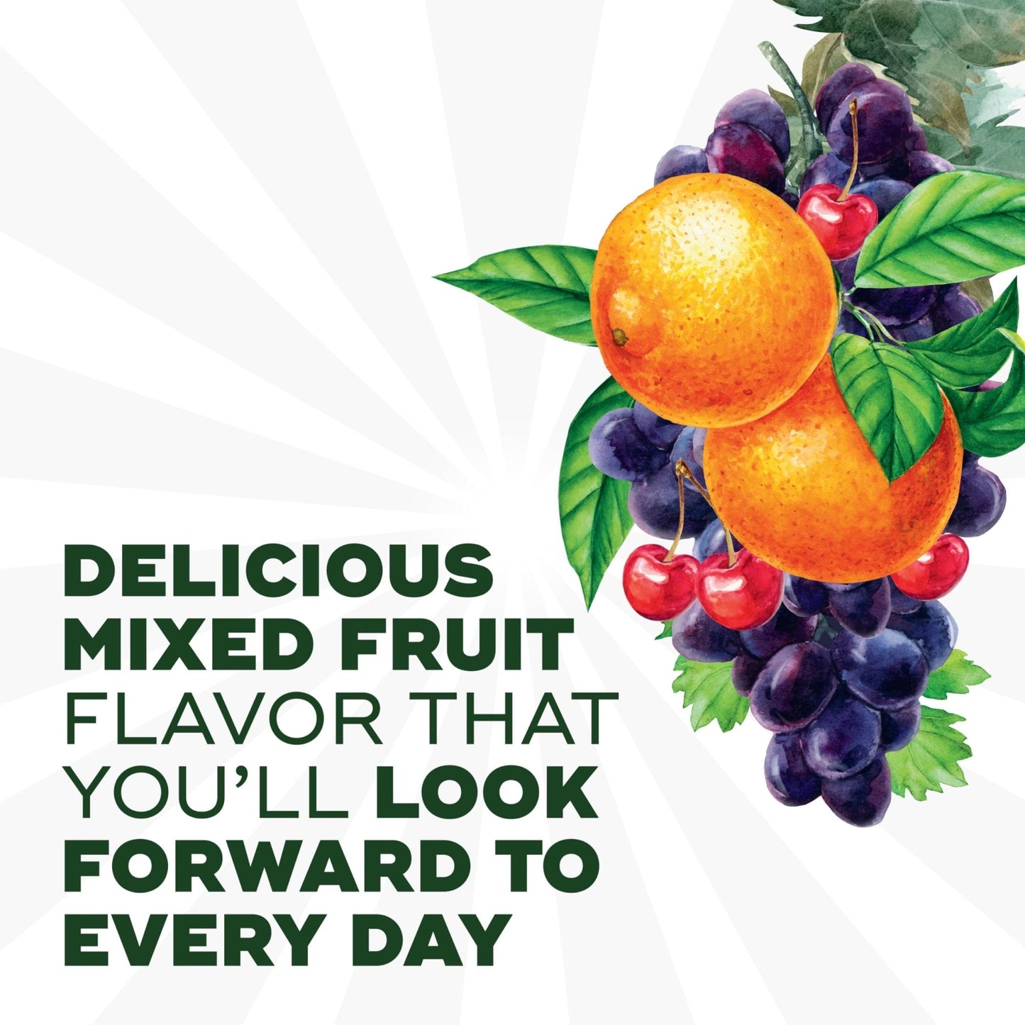 Align Dualbiotic, Prebiotics and Probiotics for Women and Men, Probiotics for Digestive Health, Prebiotics Help Nourish Good Bacteria, Natural Fruit Flavors - Maple Wellness Supplements
