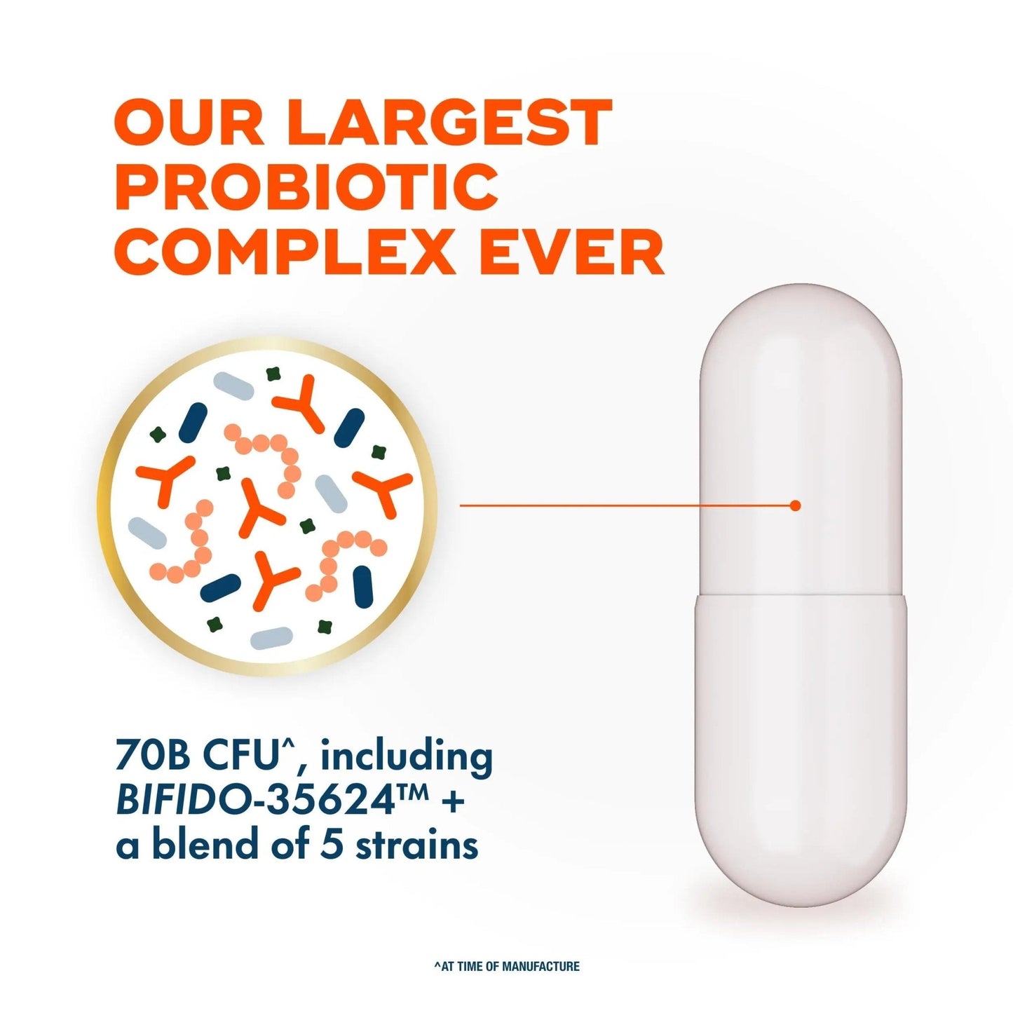 Align Probiotic, 70 Billion CFU, 6 Strain Blend, Probiotics for Women and Men, Daily Probiotics for Digestive Health, Helps Relieve Occasional Bloating & Gas 30 Capsules - Maple Wellness Supplements