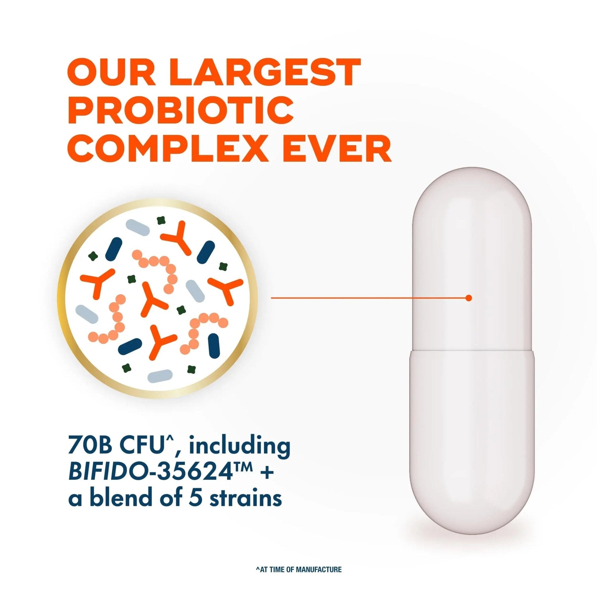 Align Probiotic, 70 Billion CFU, 6 Strain Blend, Probiotics for Women and Men, Daily Probiotics for Digestive Health, Helps Relieve Occasional Bloating & Gas 30 Capsules - Maple Wellness Supplements