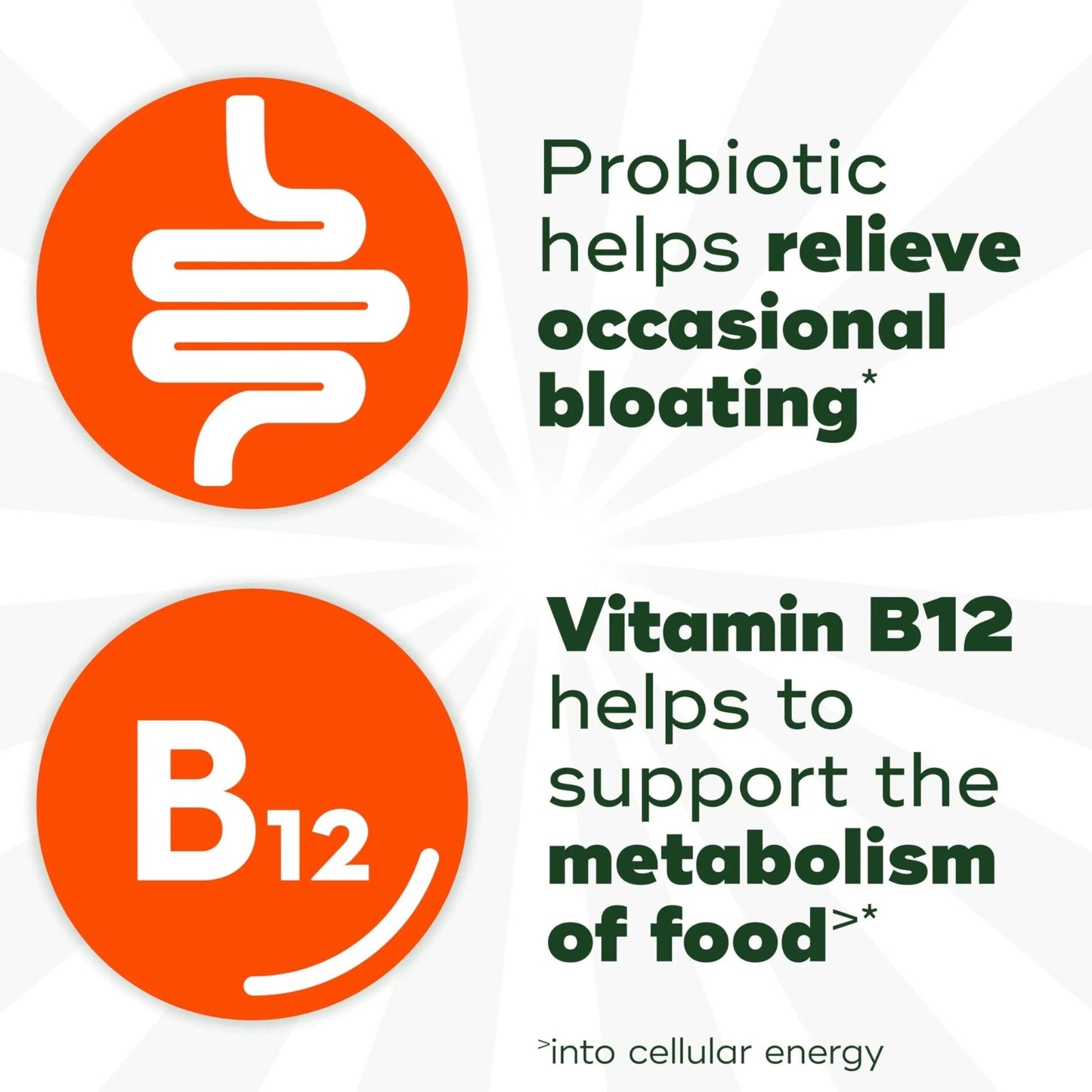 Align Probiotic, Bloating Relief + Food Digestion, Probiotics for Women and Men, Probiotic Helps Soothe Occasional Bloating*, With Vitamin B12 to Help Break Down Food into Cellular Energy*,60 Gummies - Maple Wellness Supplements