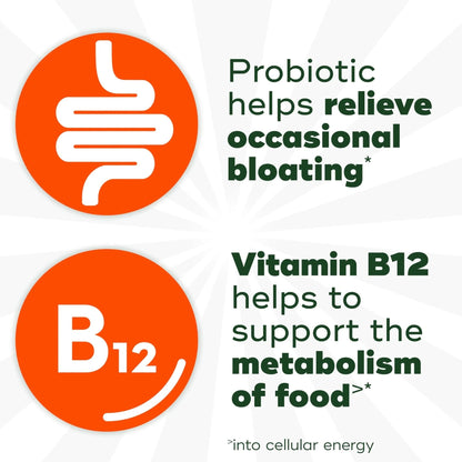 Align Probiotic, Bloating Relief + Food Digestion, Probiotics for Women and Men, Probiotic Helps Soothe Occasional Bloating*, With Vitamin B12 to Help Break Down Food into Cellular Energy*,60 Gummies - Maple Wellness Supplements