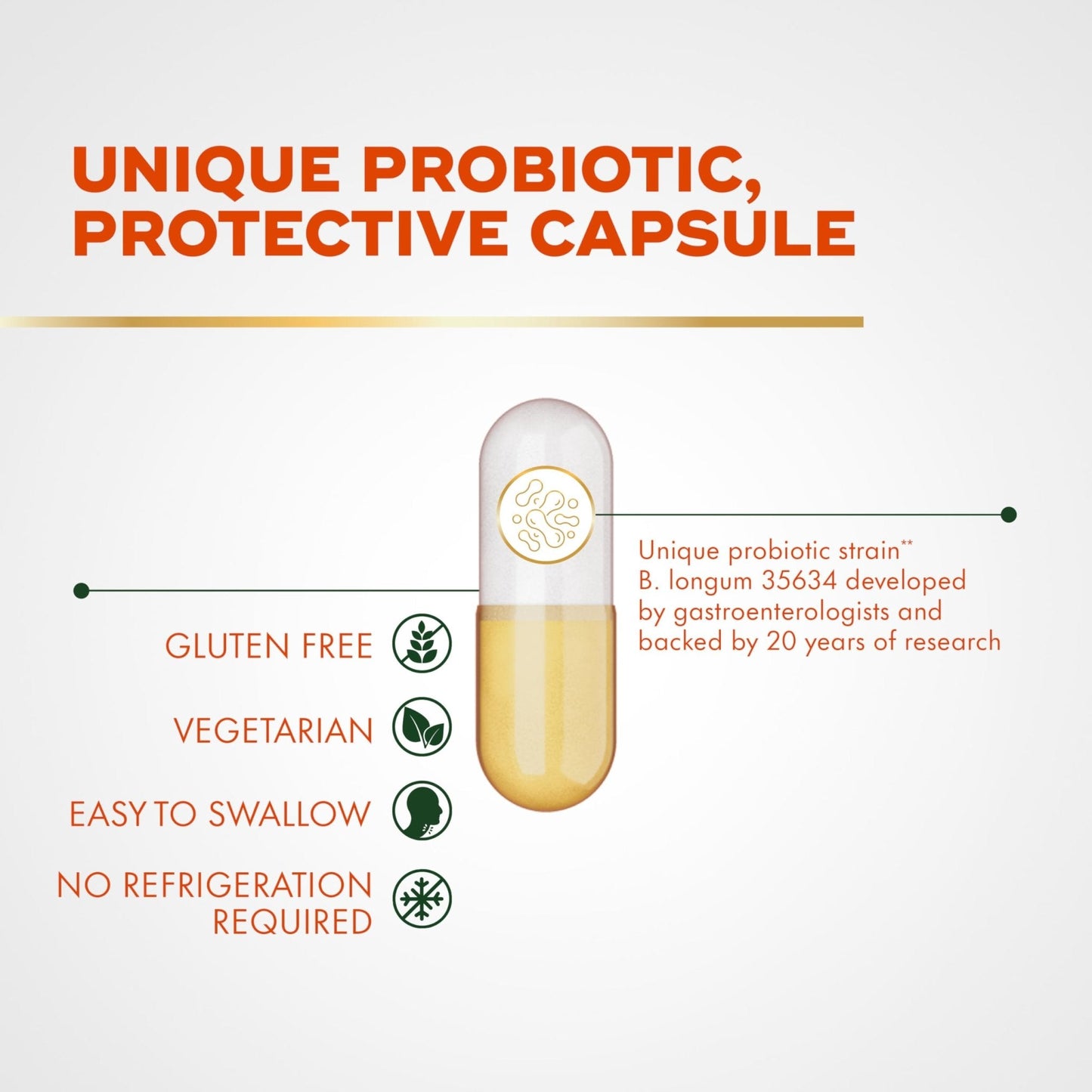 Align Probiotic, Pro Formula, Probiotics for Women and Men, Probiotics for Digestive Health, Men and Womens Probiotic Capsules Help Relieve - Maple Wellness Supplements