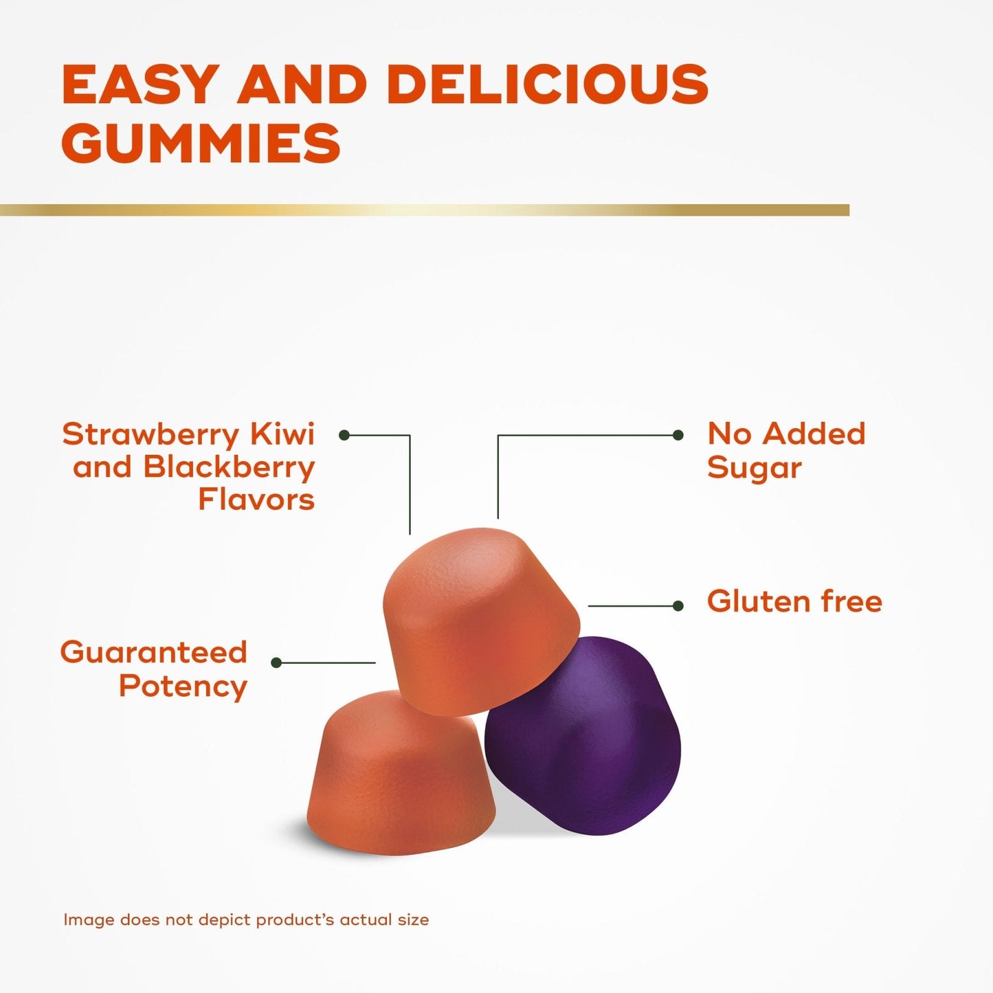 Align Probiotic, Probiotics + Fiber Gummies, Probiotics Help Relieve Occasional Bloating*, Fiber Helps Support a Healthy Digestive System - Maple Wellness Supplements