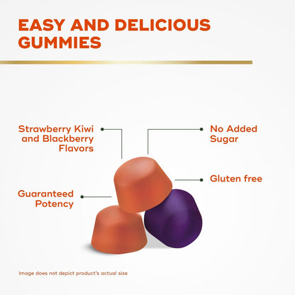 Align Probiotic, Probiotics + Fiber Gummies, Probiotics Help Relieve Occasional Bloating*, Fiber Helps Support a Healthy Digestive System - Maple Wellness Supplements