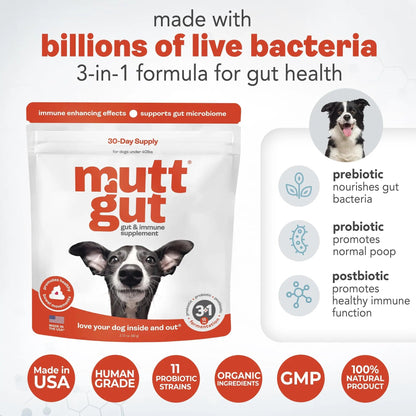All-Natural 3-in-1 Dog Probiotic, Prebiotic, and Postbiotic Supplement Powder - Probiotics for Dogs with 135 Billion CFUs, Anti Diarrhea, Digestive Enzymes & Antioxidants (60g) - Maple Wellness Supplements