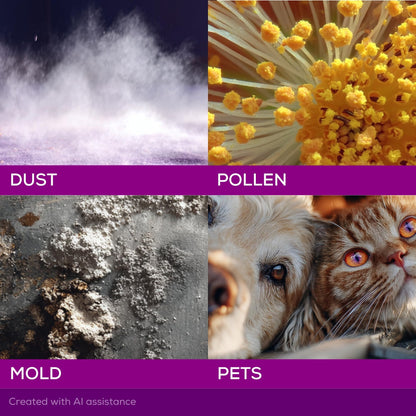Allegra Adult 24-Hour Allergy Relief Tablets, Non-Drowsy Indoor and Outdoor Allergy Medicine, 180 mg Fexofenadine HCI Antihistamine Pill, 100-Count - Maple Wellness Supplements