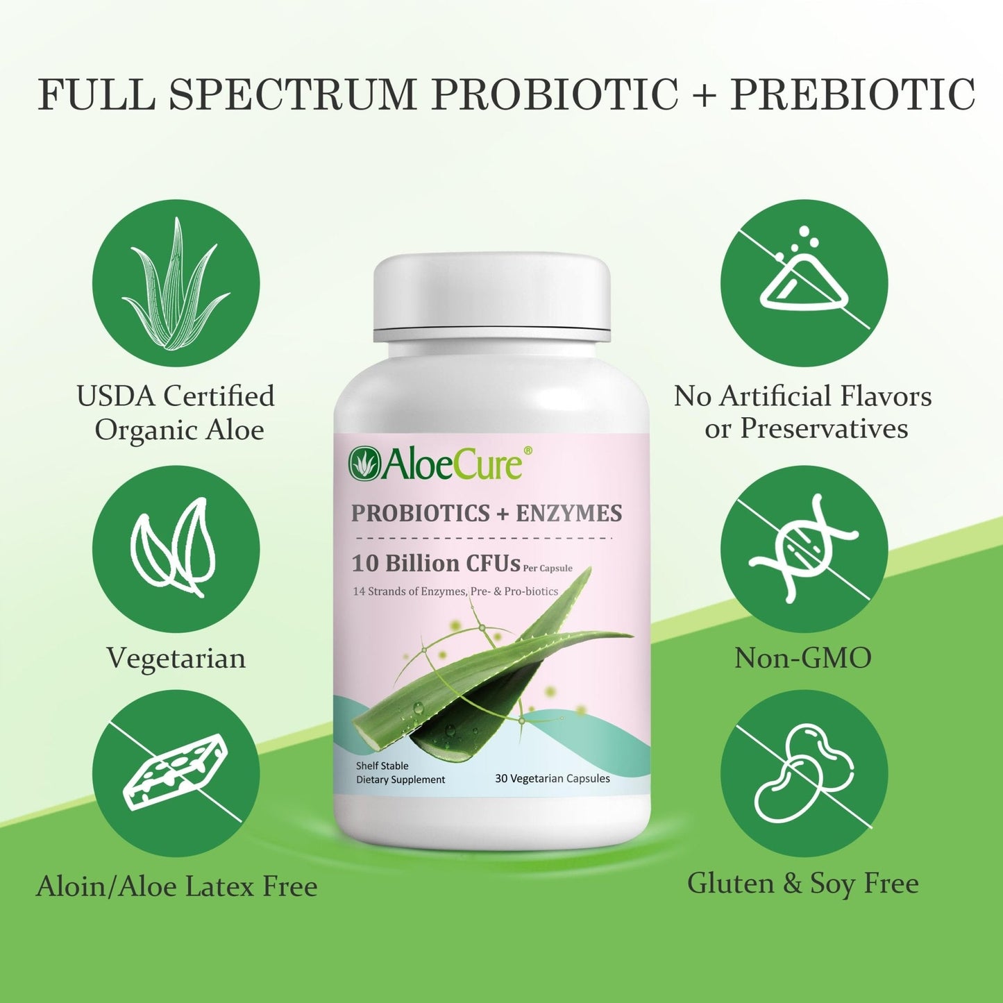 AloeCure Daily Probiotics 10 Billion CFU for Digestive Support 8 Strains, 6 Prebiotics & Enzymes - Digestive Supplement with Bromelain for Women & Men - Maple Wellness Supplements