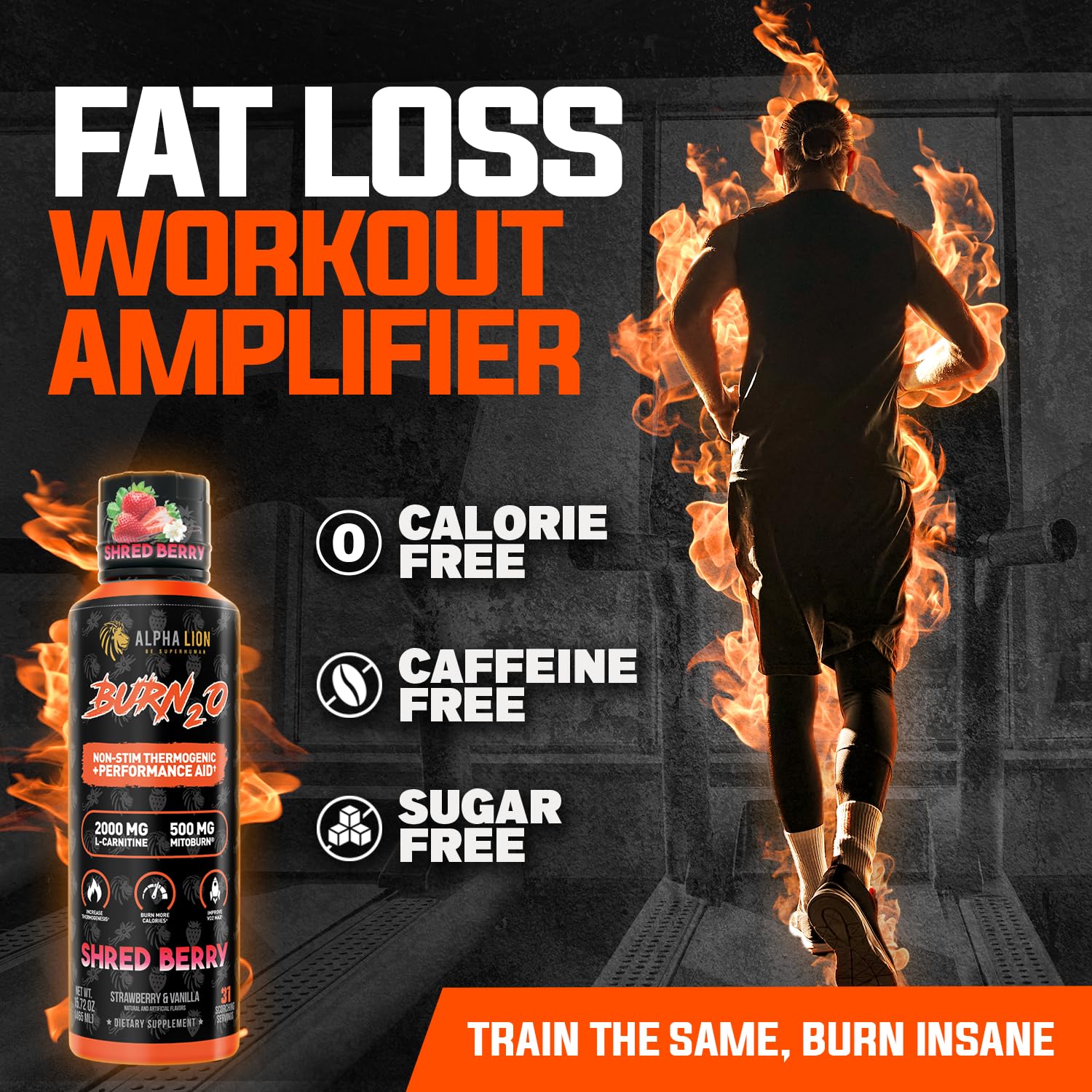 ALPHA LION Burn2O L-Carnitine Liquid 2000mg, Premium Liquid Fat Burner & Pre-Workout Supplement for Men & Women - Natural Energy & Metabolism Booster - Maple Wellness Supplements