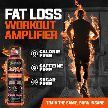 ALPHA LION Burn2O L-Carnitine Liquid 2000mg, Premium Liquid Fat Burner & Pre-Workout Supplement for Men & Women - Natural Energy & Metabolism Booster - Maple Wellness Supplements