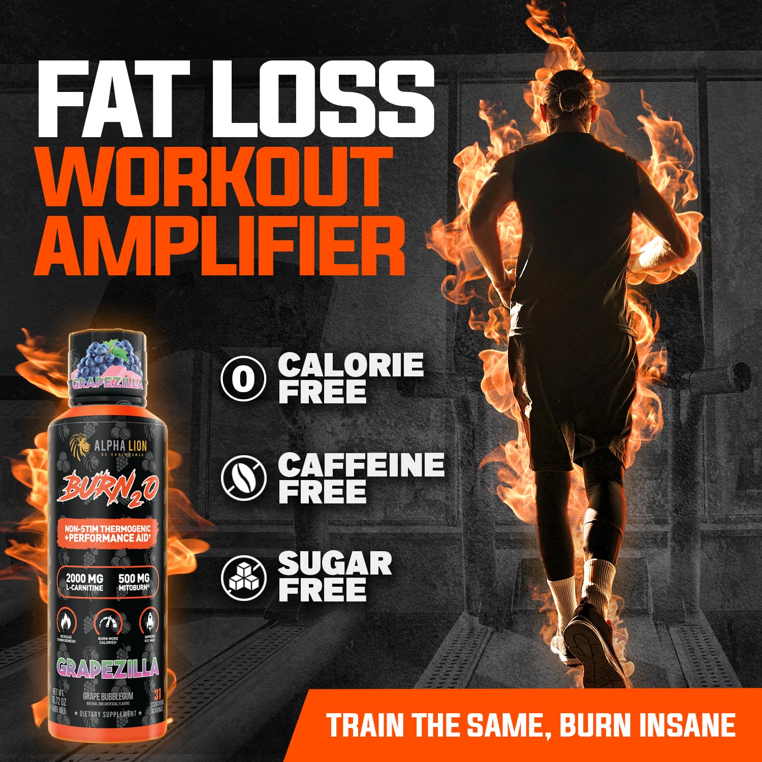 ALPHA LION Burn2O L-Carnitine Liquid 2000mg – Stim Free Super Thermogenic Fat Burner with MitoBurn® & CaloriBurn GP®, Metabolism Booster, Zero Calorie - Maple Wellness Supplements