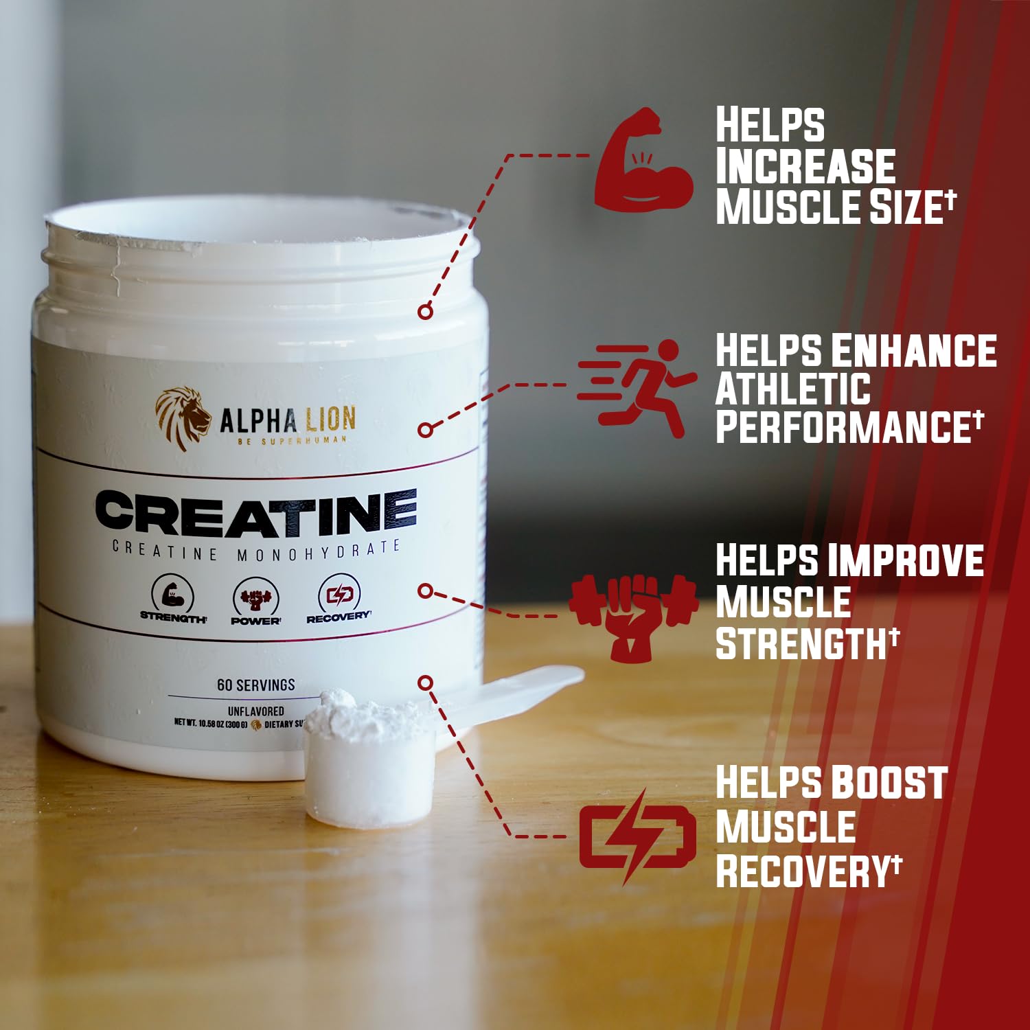 ALPHA LION Creatine Monohydrate Powder, 5000mg Per Serving (5g), Supports Muscle Strength, Power, Athletic Performance, Pure Creatina Monohydrata - Maple Wellness Supplements