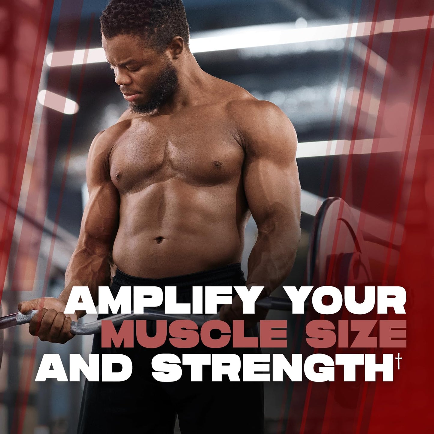 ALPHA LION Creatine Monohydrate Powder, 5000mg Per Serving (5g), Supports Muscle Strength, Power, Athletic Performance, Pure Creatina Monohydrata - Maple Wellness Supplements