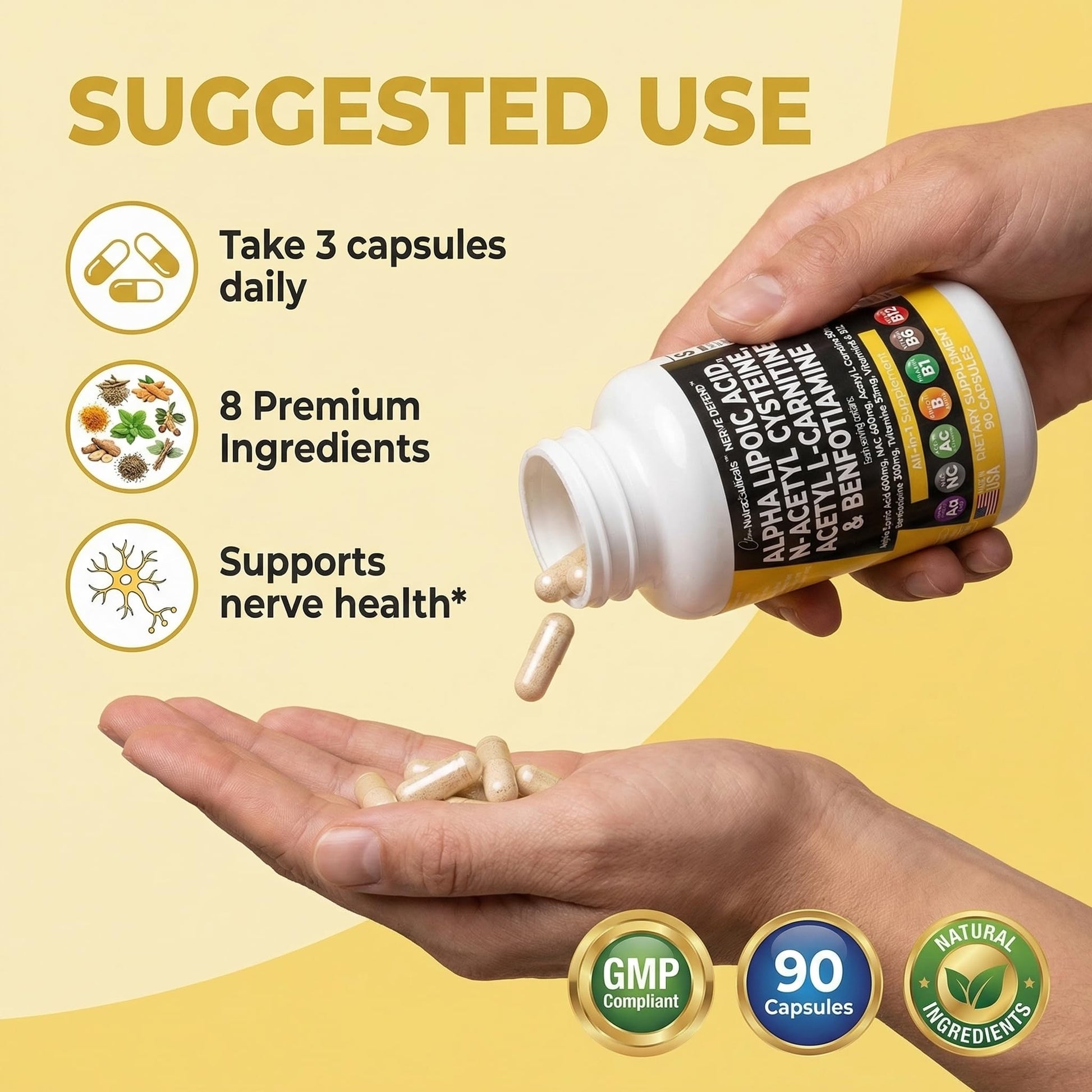 Alpha Lipoic Acid 600mg N-Acetyl Cysteine 600mg Acetyl L-Carnitine 500mg Benfotiamine 300mg - Nerve Support Supplement for Women and Men with Vitamin B1 B6 & B12 - Made in USA 90 Caps - Maple Wellness Supplements