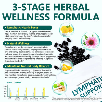Alstaky Lymphatic Drainage Supplement - 240 Softgels, with Echinacea, Dandelion, and Burdock, Promotes Healthy Circulation & Fluid Balance, Lymph System Support Supplement for Women & Men - Maple Wellness Supplements