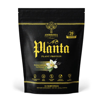 Ambrosia Plant Based Protein Powder 20g | Clean Vegan Pea Protein Powder | Gluten & Dairy Free, Keto Friendly, No Added Sugar | 14 Servings | Vanilla - Maple Wellness Supplements