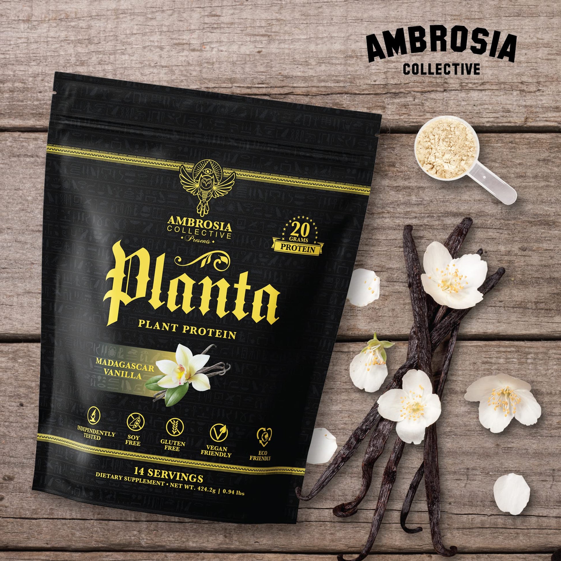 Ambrosia Plant Based Protein Powder 20g | Clean Vegan Pea Protein Powder | Gluten & Dairy Free, Keto Friendly, No Added Sugar | 14 Servings | Vanilla - Maple Wellness Supplements