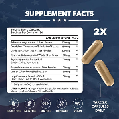 AMERICAN VITALITY LymphaVive Lymphatic Drainage Supplements for Men & Women - Lymphatic Support with Bromelain, Echinacea, Burdock Root, Dandelion, Rutin, Kelp - 60 Capsules - Maple Wellness Supplements