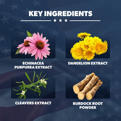 AMERICAN VITALITY LymphaVive Lymphatic Drainage Supplements for Men & Women - Lymphatic Support with Bromelain, Echinacea, Burdock Root, Dandelion, Rutin, Kelp - 60 Capsules - Maple Wellness Supplements