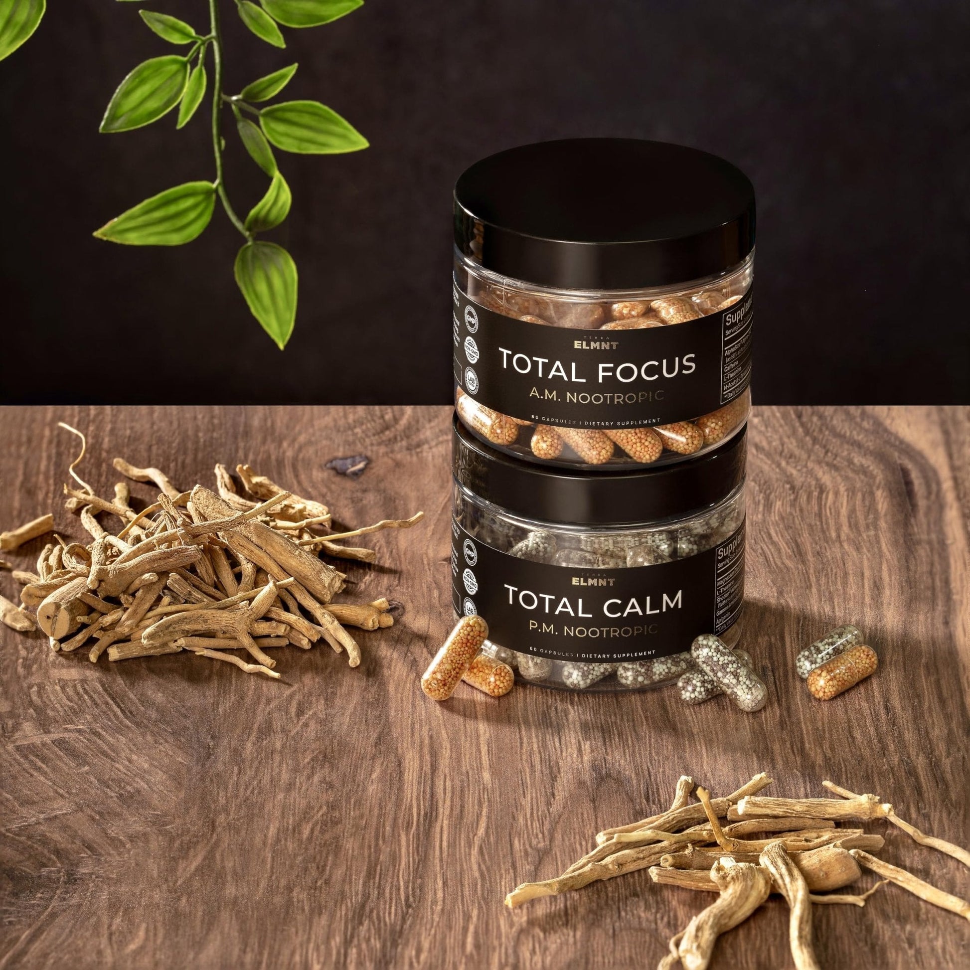AMPM Nootropic Total Focus + Calm 9X Strength w. Caffeine, L-Theanine, Alpha GPC, L-Tyrosine, Ashwagandha - X-Release Energy Pills Nootropics Brain Support Supplements for Memory and Focus Supplement - Maple Wellness Supplements